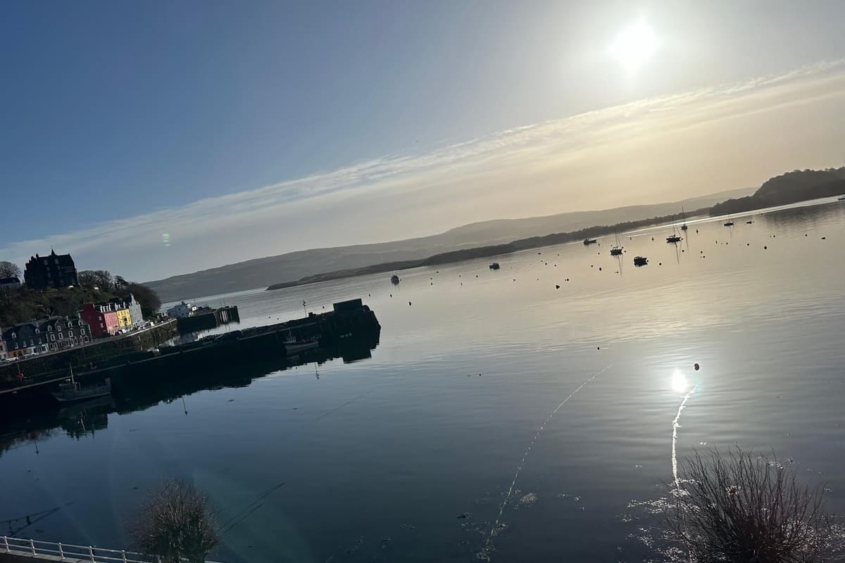 Tobermory Bay at dusk